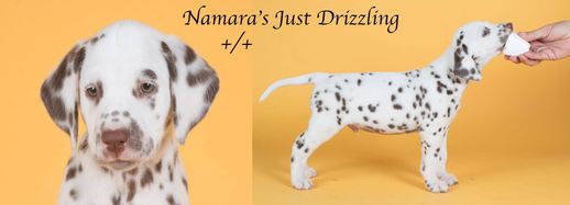 Namara's Just Drizzling