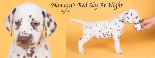 Namara's Red Sky at Night